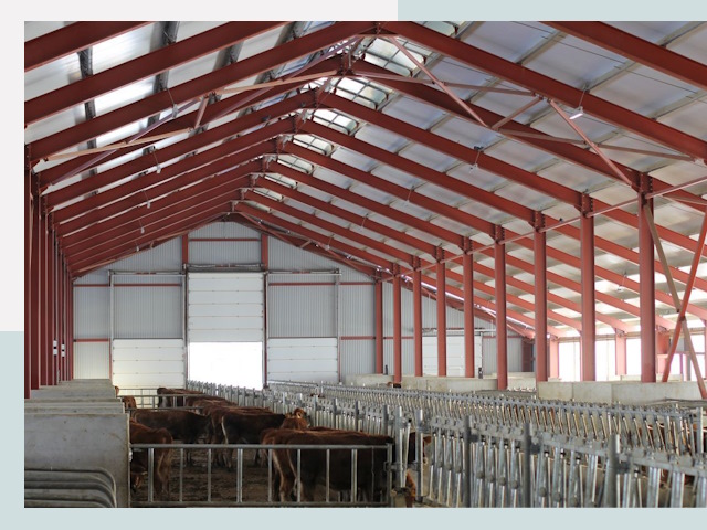 Строительство коровников в Истре