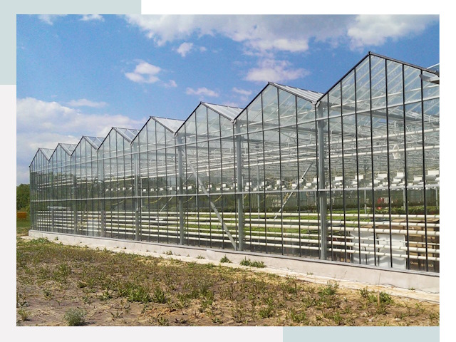 Строительство теплиц в Истра от 610 руб. за м²