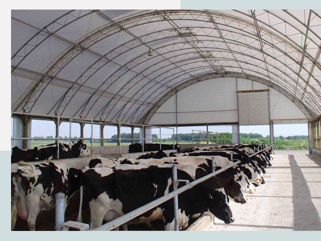 Тентовые коровники в Истре